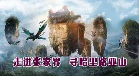 投標(biāo)競(jìng)標(biāo)推薦